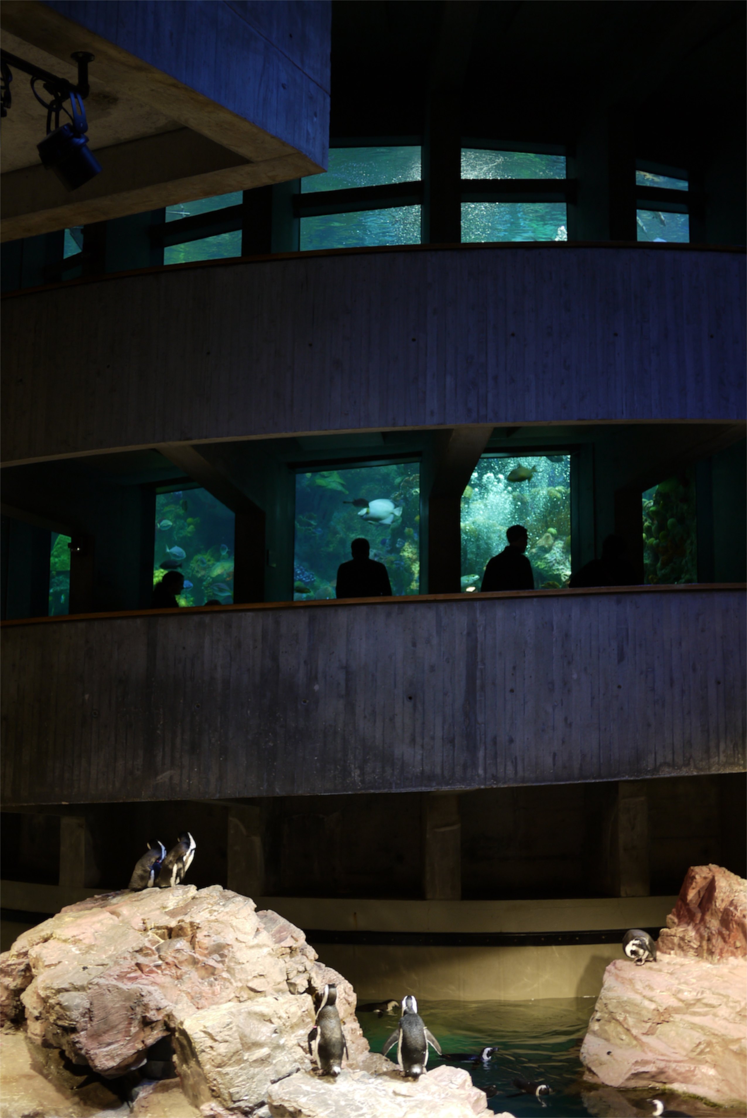 Aquarium of New England: bondé, mais quand même un beau détour à mettre à l'horaire.