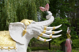 Dai-Tong-Lam-017.jpg