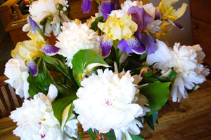 bouquet_pivoines_iris_300x2.jpg