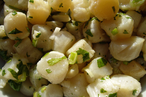 petits_petoncles_ceviche.jpg