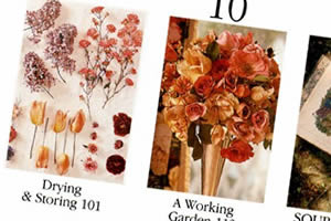 Extrait de la table des mati&egrave;res de Scented Room