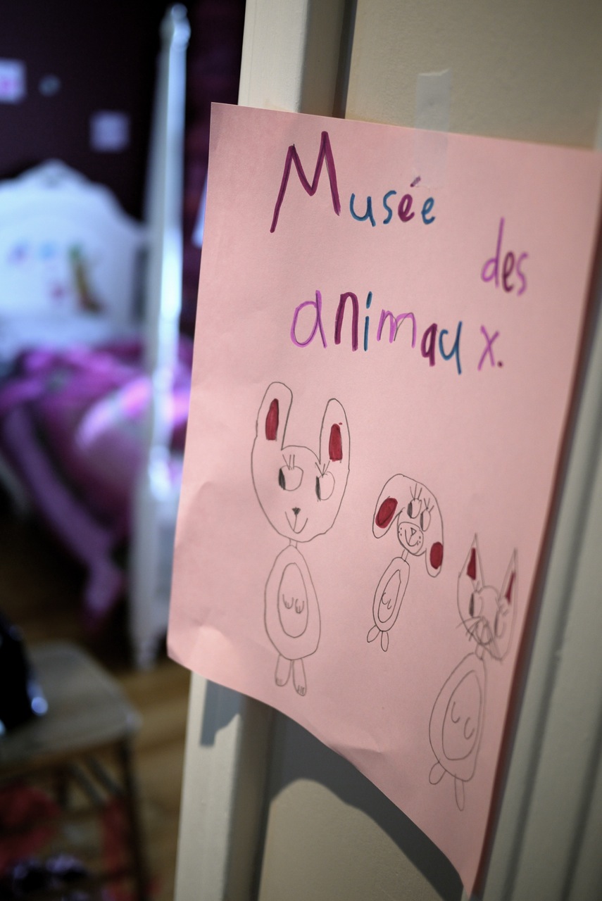 Musée des animaux - une exposition préparée par Fanny, 7 ans.