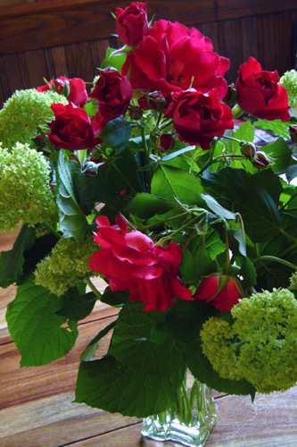 Bouquet-de-roses-et-d'hydra.jpg