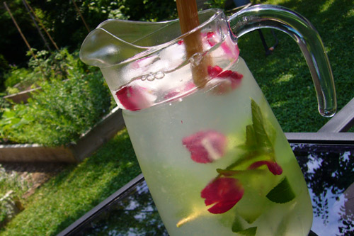 Limonade-a-leau-de-rose.jpg