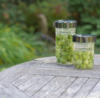 Mini tomates lactofermentées : des vertes et des pas mûres en saumure