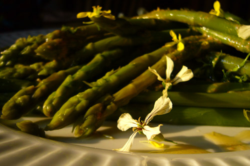 asperges_fleur_moutarde_roq.jpg