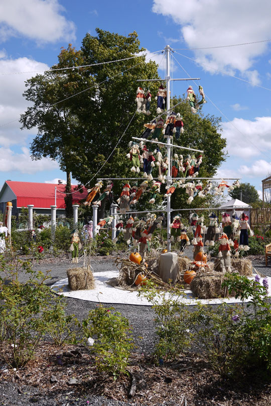 Route des gerbes d’angelica: à visiter cet automne en famille