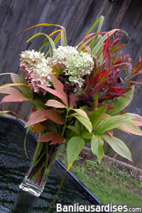 bouquet_automne_petit.jpg