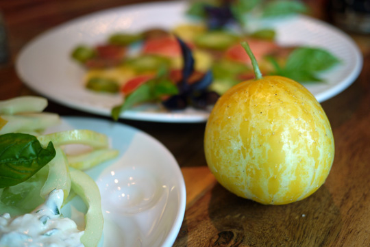 Concombre citron: tantôt bon, tantôt beau