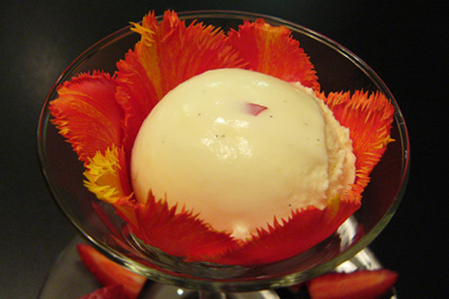 creme_glacee_rose_tulipe_gr.jpg