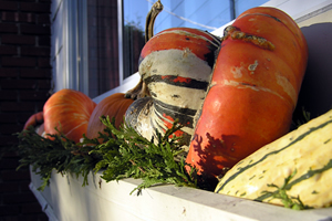 deco_halloween_boite_fleurs.jpg