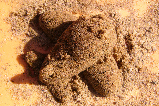 Gâteau de sable et bonnes manières