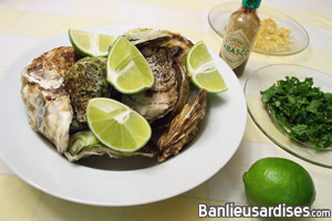 Huîtres en coquille, lime et coriandre