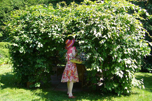 Martine écornifle sous une pergola