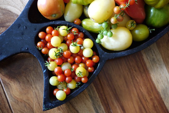 Sortez votre loupe: voici mes tomates miniatures