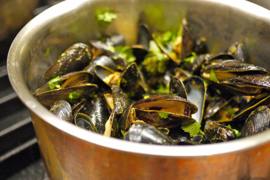 Moules au cari et à la coriandre