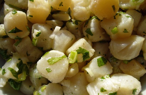 Petits pétoncles de baie en ceviche