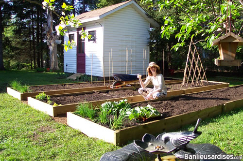 Potager terminé