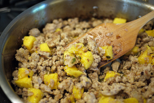 Tostadas au poulet et à la mangue