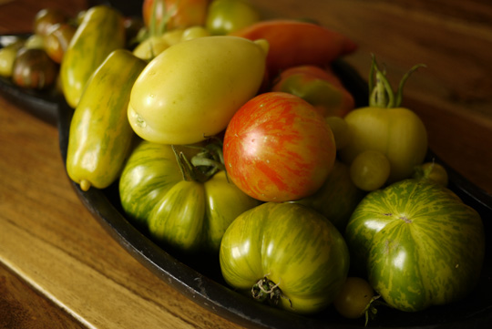 Une belle récolte de tomates