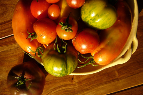 tomates_presentation.jpg