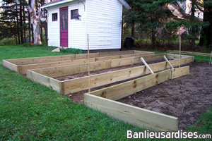 Troisième bac du potager